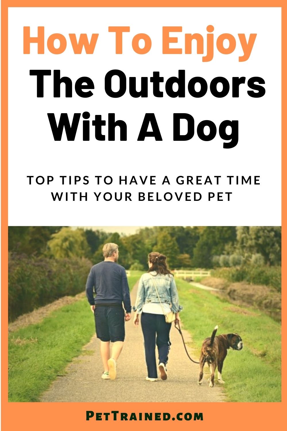 enjoying the outdoors with a puppy or dog