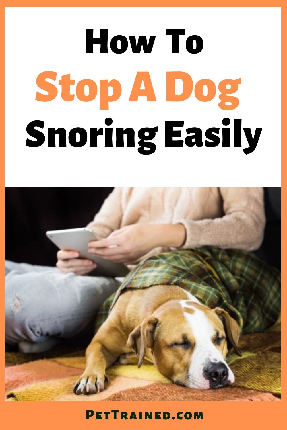 Dog snoring causes and solutions