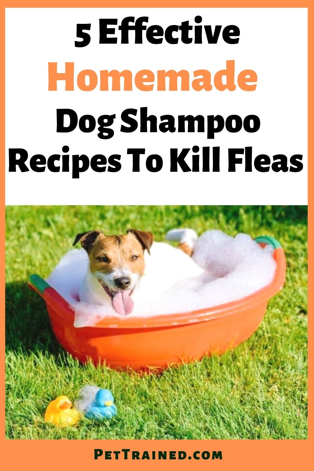 5 Effective homemade flea removal shampoo for dogs