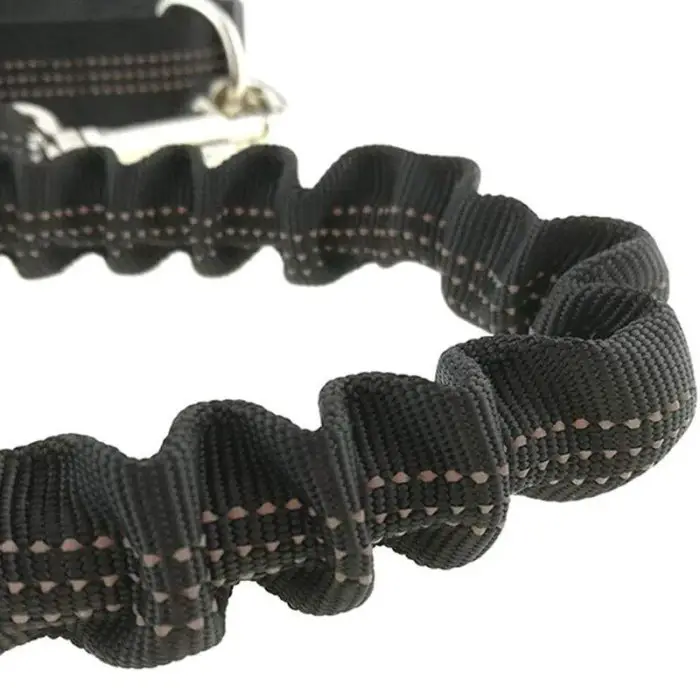 Close-up of a black, elastic bungee hands-free dog leash with reflective stitching and a sturdy metal clip, perfect for attaching to a waist bag (10006-158dc5.jpg).