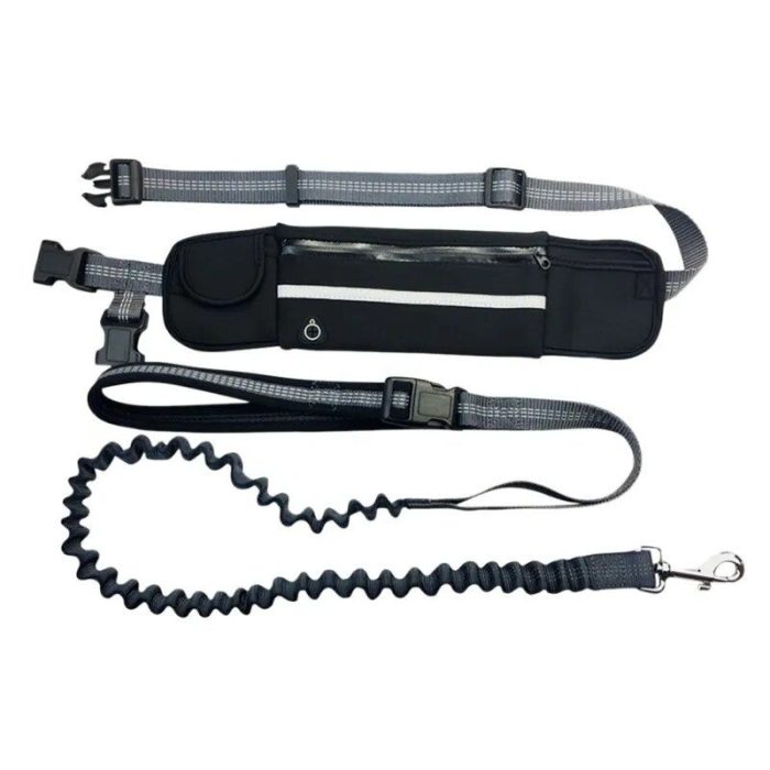 A 10006-c42ed8.jpg in the form of a black waist belt with reflective stripes, adjustable straps, a zippered pocket, buckles, and an attached bungee leash with a metal clip.