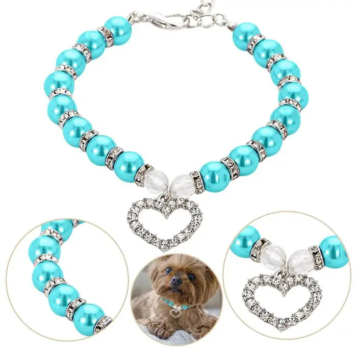 Turquoise and white bead dog collar with pearls and a crystal heart pendant, shown worn by a small dog (10030-0dcdd0.jpg).