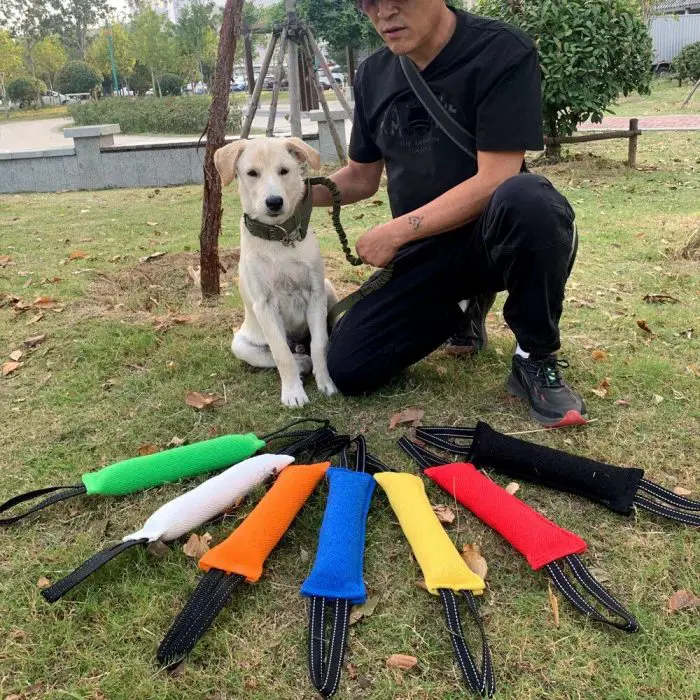 A man in black holds a dog's leash, with the dog sitting beside him on grass. Various colored tug toys and 10126-467d17.jpg are laid out in front of them.