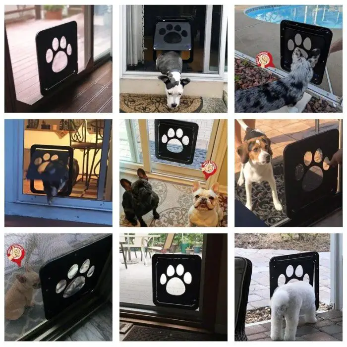 Nine images of various cats and dogs using or standing near an 10150-79d785.jpg. The 10150-79d785.jpg is installed on different types of doors, including glass and screen doors.