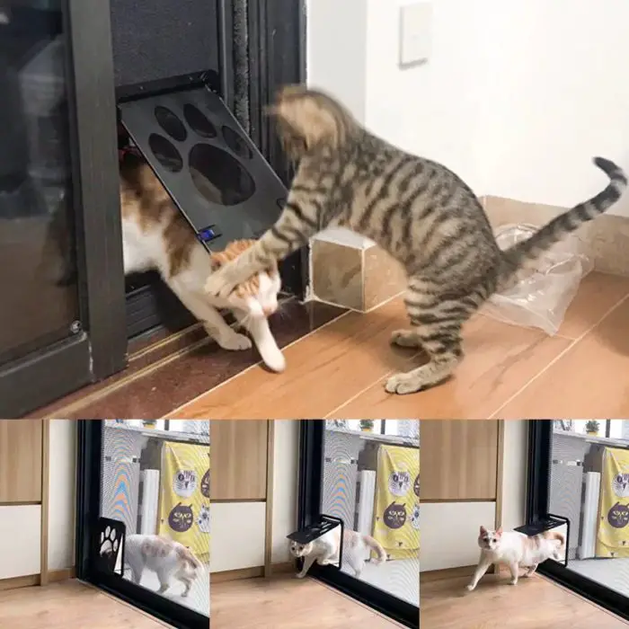 A striped cat pushes another cat using a 10150-8511d4.jpg. Below, a sequence of three images shows the second cat using the easy-to-install flap door while another cat watches from inside.