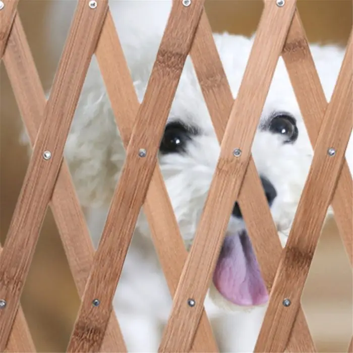 A white dog with its tongue out looks through an adjustable 10160-416bfc.jpg.