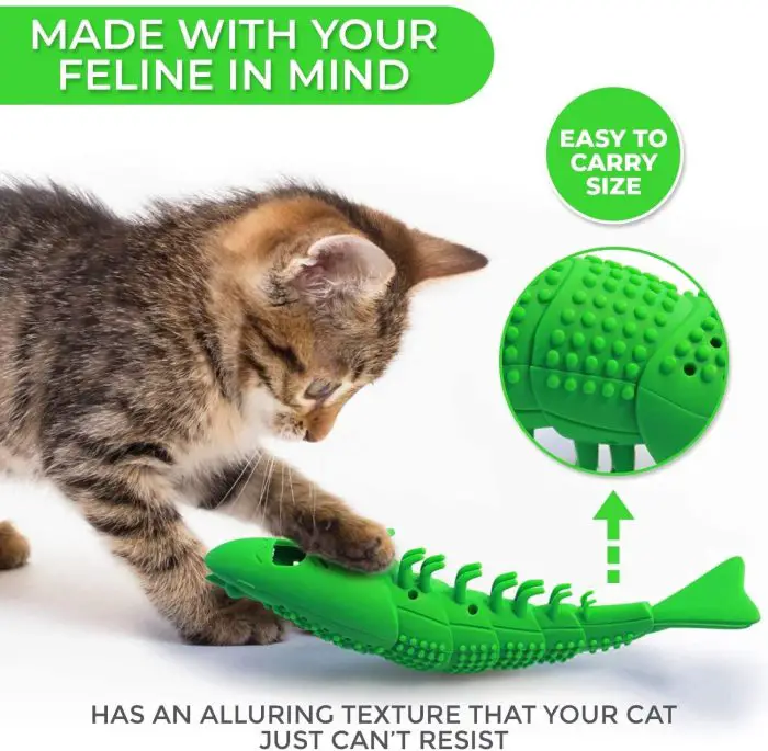 A kitten plays with a green fish-shaped toy designed for cats. Made from durable rubber, **10222-972ec7.jpg**, this interactive cat dental chew toy not only entertains but also aids in teeth cleaning with its alluring texture and easy-to-carry design.