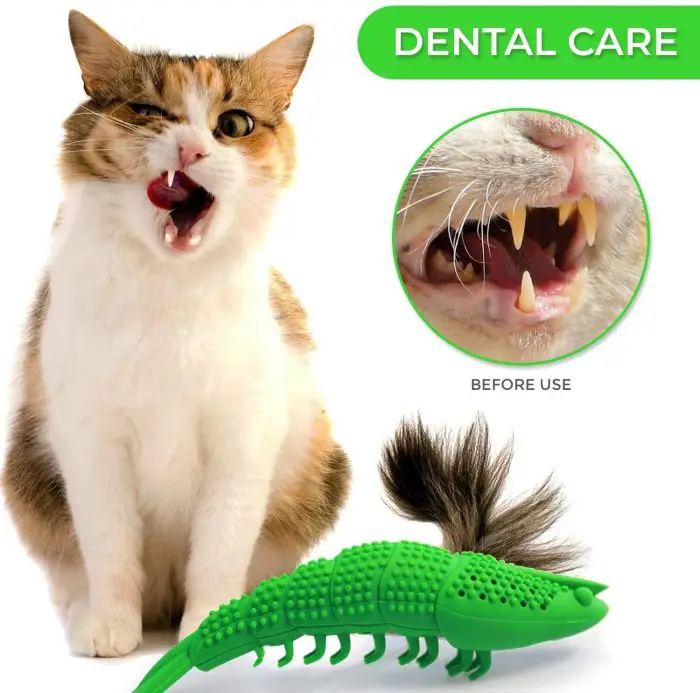 A cat next to a green, alligator-shaped durable rubber chew toy. An inset shows the cat's teeth before use. Text reads "DENTAL CARE—Teeth Cleaning. Product Name: 10222-f48118.jpg.