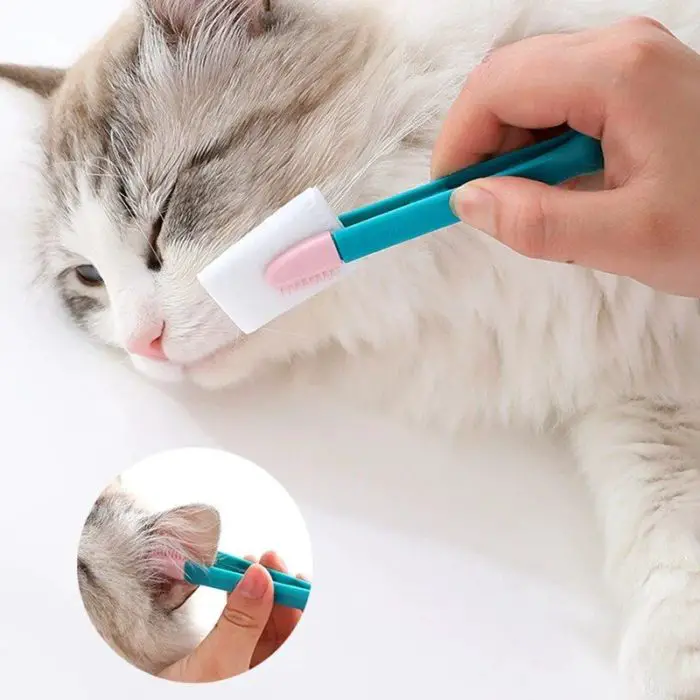 A person is cleaning a cat's teeth with a teal and white toothbrush. A small inset image shows the 10274-41dc88.jpg being used on the cat's ear.