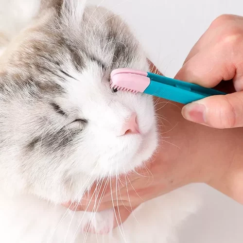 A person uses a 10274-df08b1.webp to groom a white and gray cat's eyebrow area.