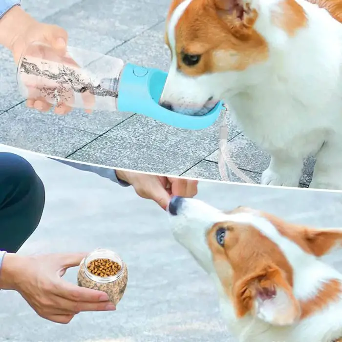 A person is using a 10329-4679d4.jpg to give a dog a drink in the first image and feeding the same dog with a jar of kibble in the second image.