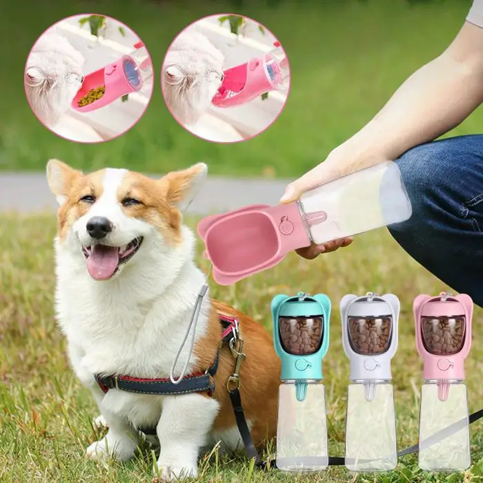 A Corgi sits on grass with a 10329-b6e471.jpg, available in green, pink, and blue, in the foreground. The bottle features an attached bowl for easy drinking. Inset images showcase a cat using the versatile water bottle.