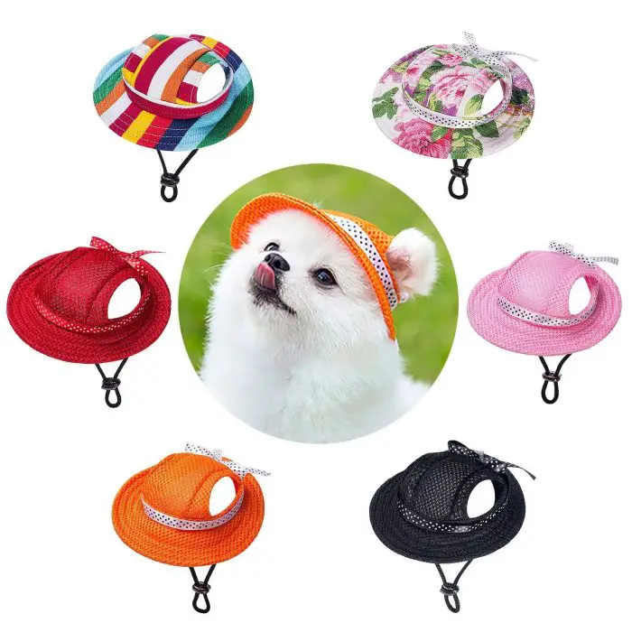 A white dog sporting a small orange dog hat is surrounded by five other 10388-8c6f62.jpg in various colors and patterns, all arranged in a circular pattern.