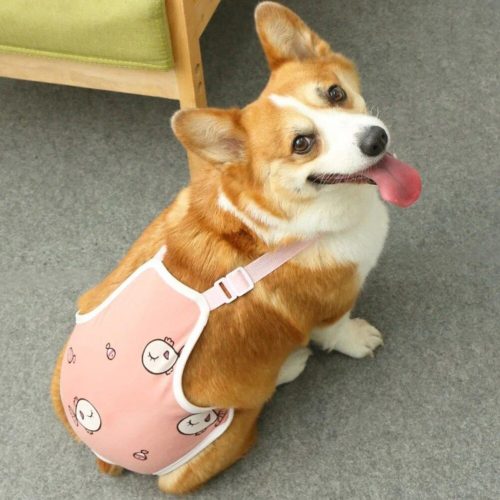 A corgi wearing a 10445-b971c0.jpg sits on a gray carpet, looking back with its tongue out.