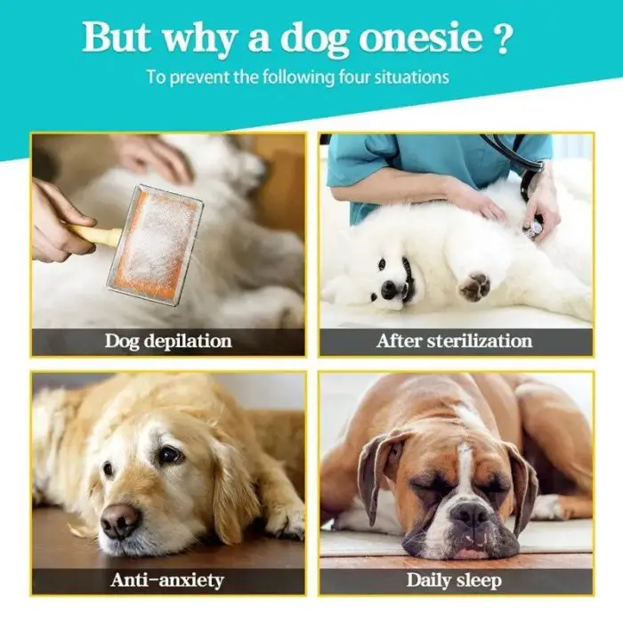 A collage of four images with text explaining the uses of 10487-58e517.jpg: dog depilation, after sterilization, anti-anxiety, and daily sleep.