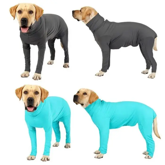 Four images of a Labrador wearing 10487-eede7e.jpg. Two images show the dog in a grey suit, and the other two in a blue suit.