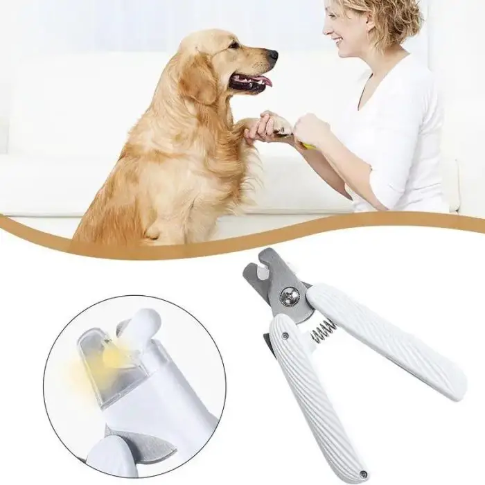 A person uses a white 10511-4847e1.jpg to trim the nails of a golden retriever. An inset shows a close-up of the 10511-4847e1.jpg's details.