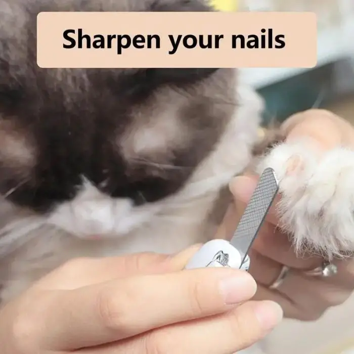 Person using a pet nail clipper to trim a cat's nails. Text above reads, "Sharpen your nails with 10511-63edde.jpg.