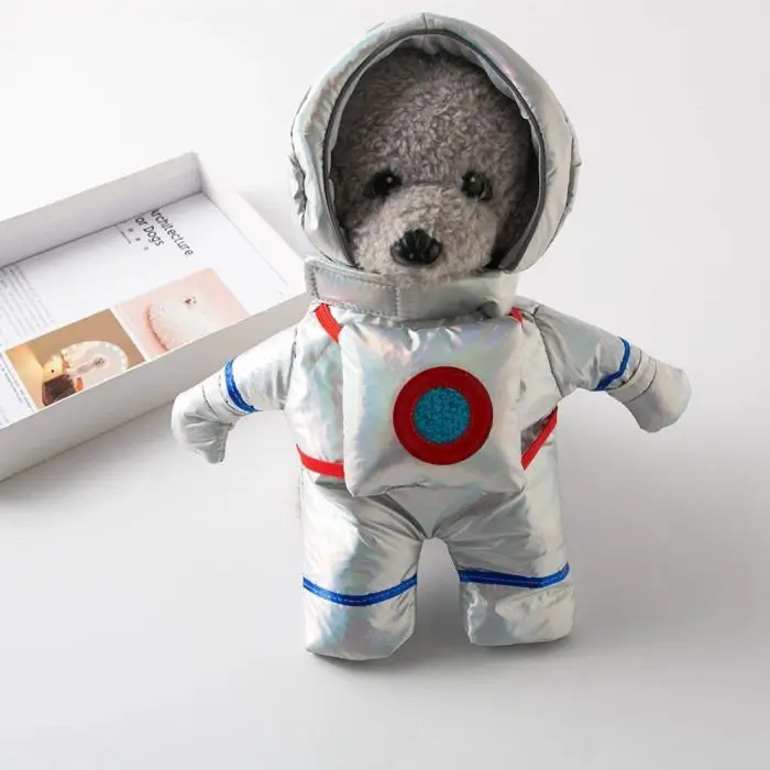 A small dog dressed in an astronaut cosplay costume stands upright on a white surface. An open box with papers inside is partially visible in the background. 10519-a222a1.jpg