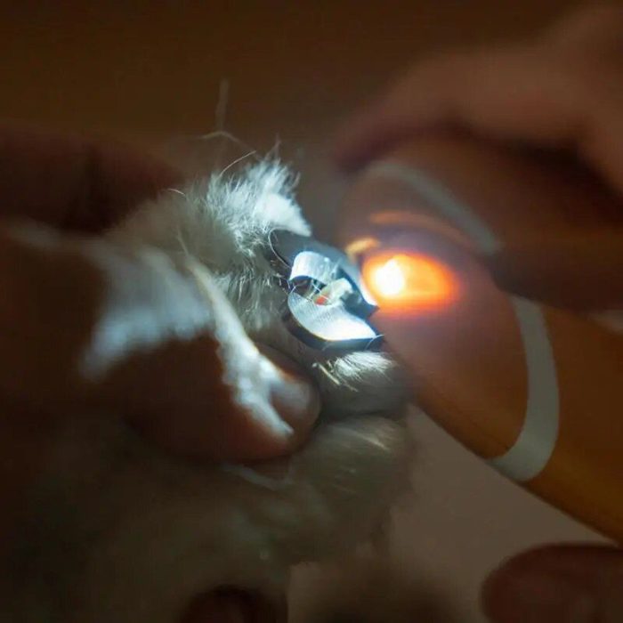 A close-up of a person using 10530-76e8c2.jpg, showcasing the precision and care often associated with a high-quality pet nail clipper, on a furry animal's paw.