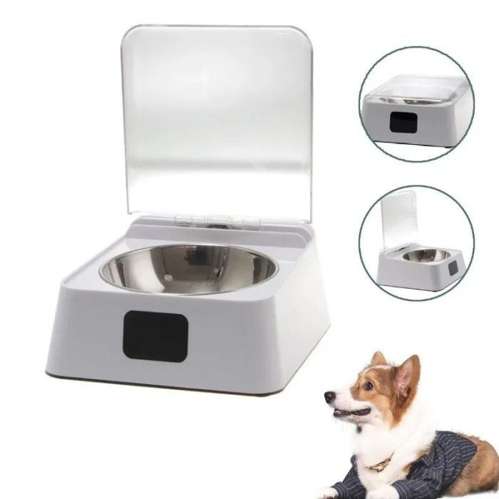 An automated pet feeder with a transparent lid is displayed. A small dog wearing a striped outfit sits to the right of the 10589-211d9b.jpg. Inset images show different angles of the feeder.