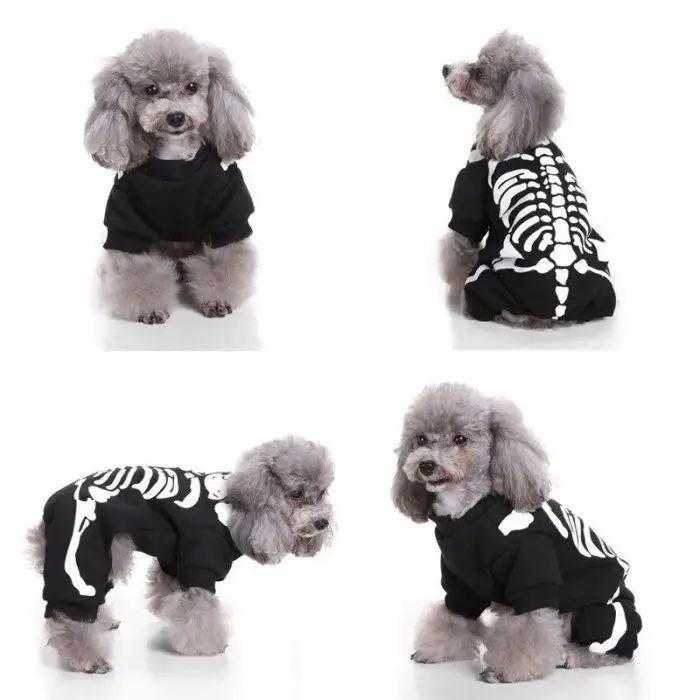 Four images of a small poodle wearing 10598-aa3445.jpg, featuring a black outfit with a white skeleton design. The dog is shown from various angles: front, back, side, and standing.