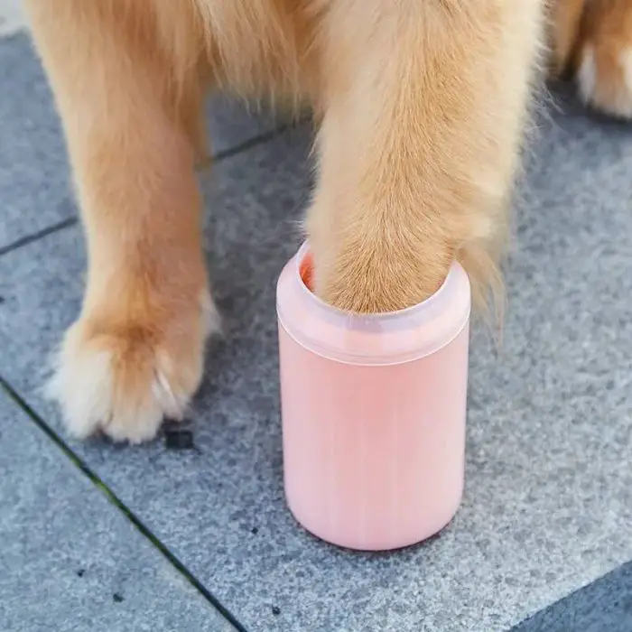 A dog's paw is inside a pink 10610-383d9d.jpg, likely being cleaned, while the other paw rests on a stone surface.