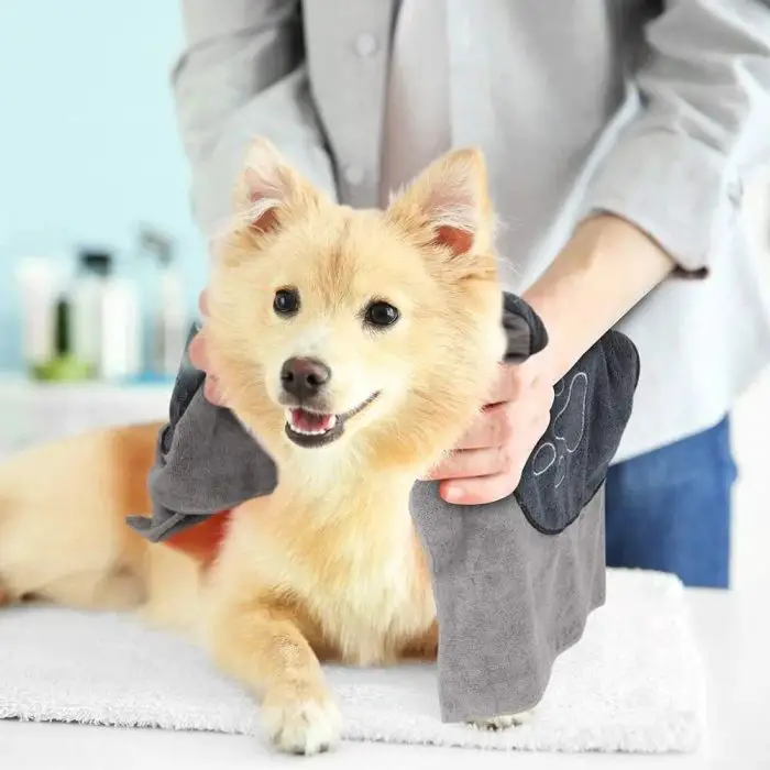 A person drying a smiling dog with a 10661-527e24.jpg on a table.