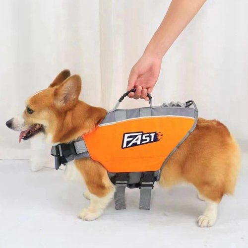 A corgi wearing a reflective dog life jacket labeled "10740-e9d76b.jpg" is being held by a strap on the back of the jacket. The dog's mouth is open and its tongue is slightly out.