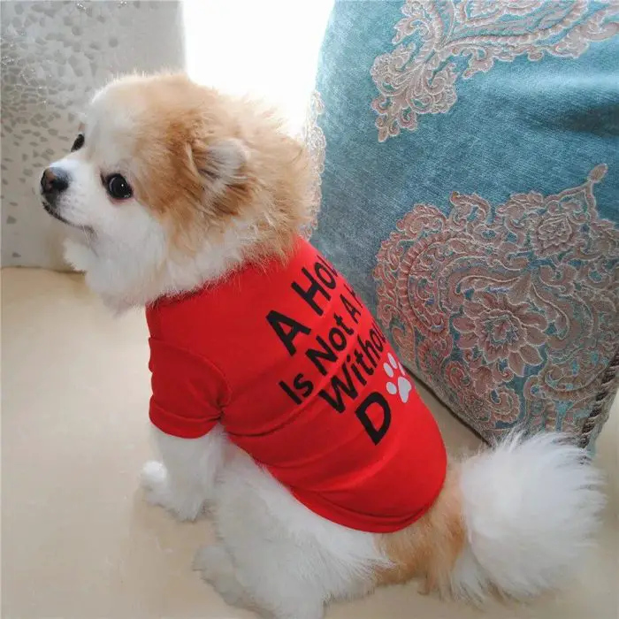 A small, fluffy dog sporting pet apparel—a red shirt that reads "A House Is Not A Home Without A Dog"—sits next to 10793-69367b.jpg.