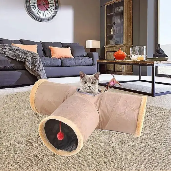 A cat sits in a 10814-e7d090.jpg placed on a carpeted floor in a modern living room with a dark sofa, wooden cabinet, and a wall-mounted clock.