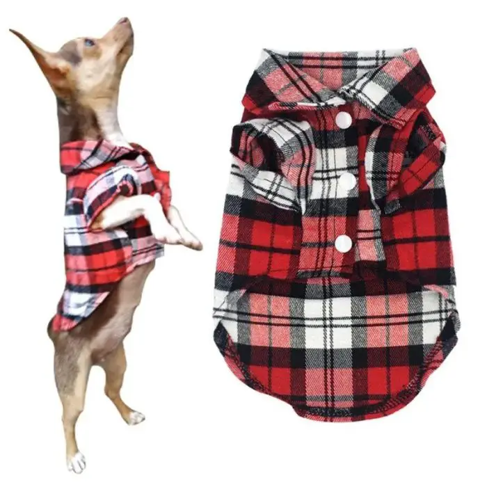 A small dog wearing a red and black plaid shirt stands on its hind legs next to 10834-b05e0e.jpg displayed flat.