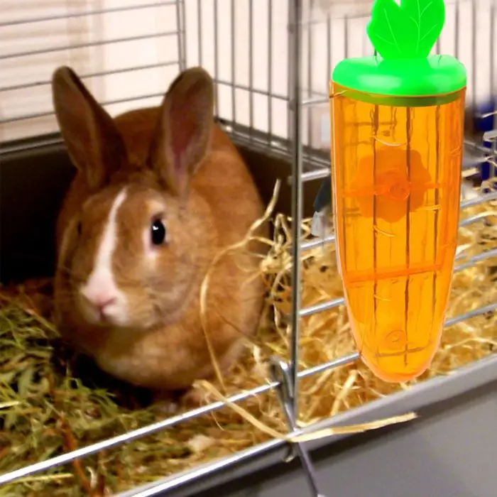 A brown rabbit with white markings is in a cage filled with hay. A pet water dispenser shaped like 10899-8ad6a1.jpg is attached to the cage.