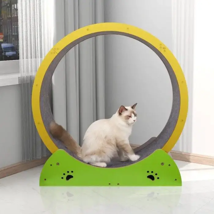 A white and brown cat stands inside a round yellow and green 10911-eb9572.jpg, positioned in the corner of a room with a window and gray curtains.