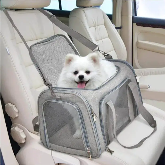 A small white dog with its tongue out sits inside a 10919-51b641.jpg placed on a car seat.