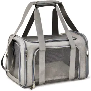 A 10919-bb4957.png with mesh panels, zippers, and multiple straps for carrying.