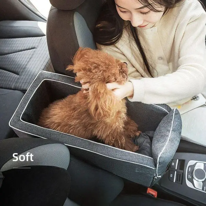 A person places a small, curly-haired dog into a 10946-f6d0b2.jpg on the front passenger seat of a car.