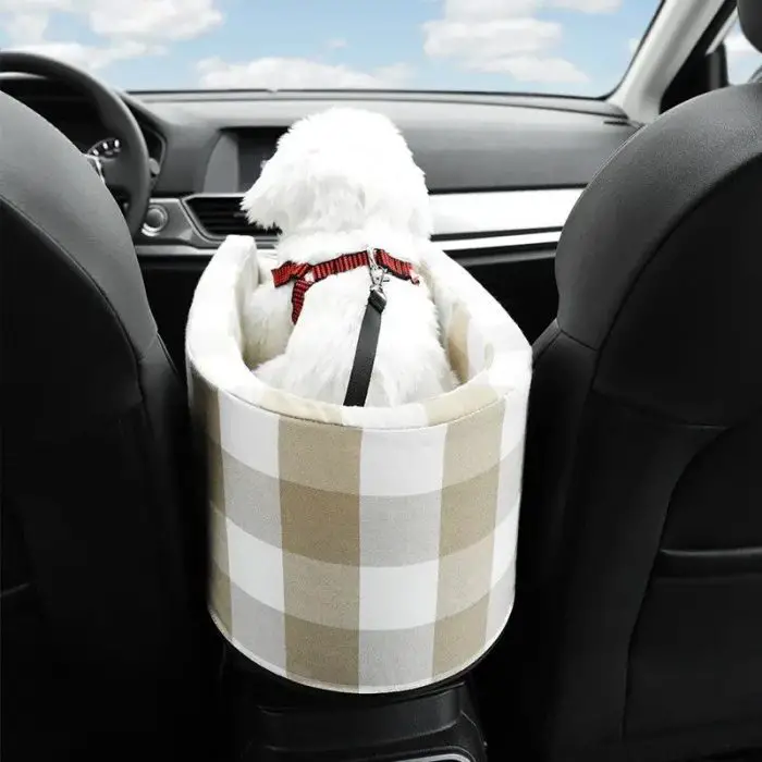 A small white dog wearing a red harness sits in a 10958-a6b9be.jpg in a car, looking out the front windshield.