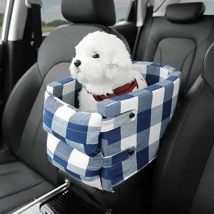 A white dog wearing a red collar sits in a 10958-ed0dbc.jpg, which features a stylish blue and white checkered design.