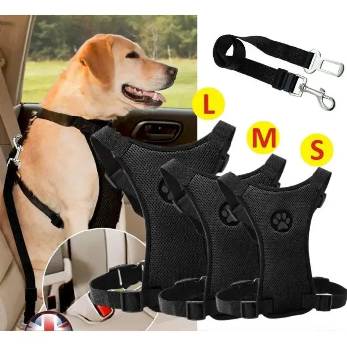 Dog wearing an 10998-2367f8.jpg in a car. Three additional black harnesses are displayed on the right with labels "L," "M," and "S." Also shown is a black adjustable seatbelt with clip ends.