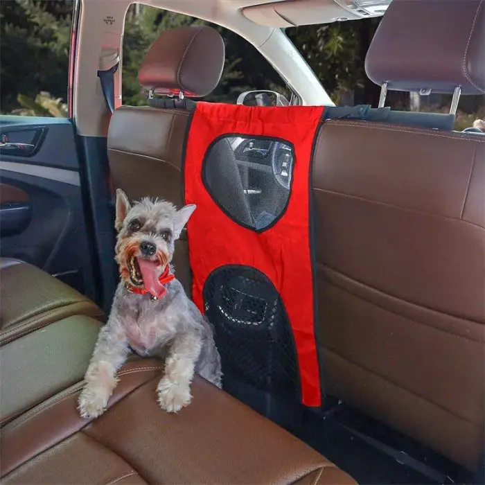 A small dog with a toy in its mouth sits on a car's back seat. A red 11015-1ae287.jpg with a circular window is attached to the front seat headrests.