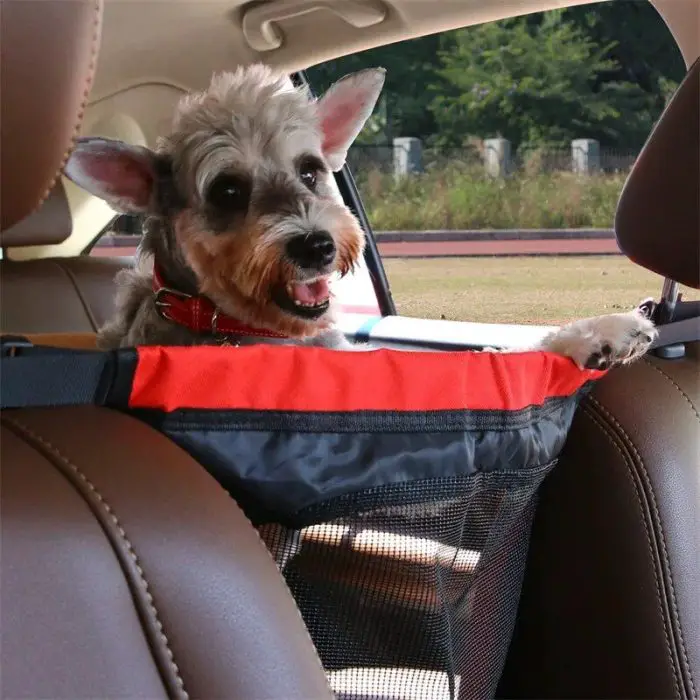 A small dog with a red collar sits in a secured pet seat, protected by 11015-7bb8b4.jpg, in the back of the car. It gazes out the window with a content expression.