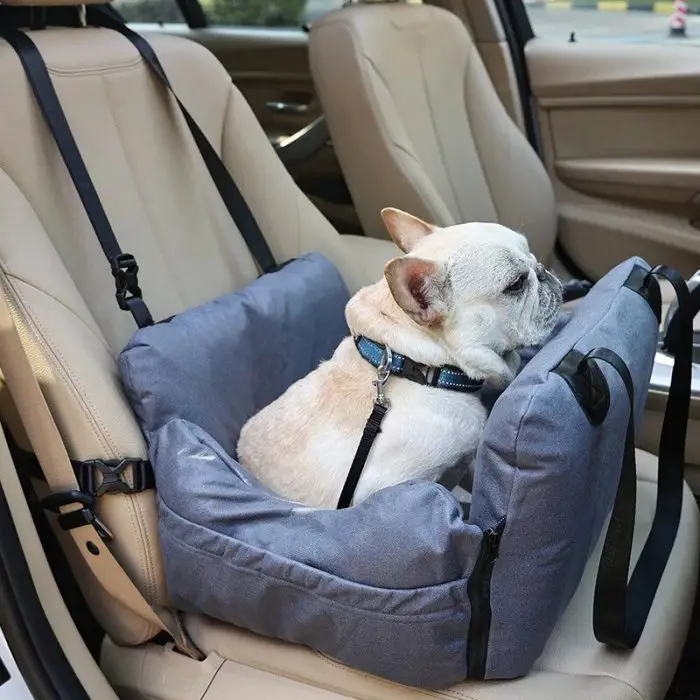 A small dog seated in a gray 11046-9a3cfc.jpg, securely strapped in with a harness, enjoys a ride in the back seat of a beige car interior.