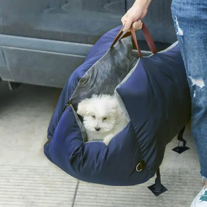 A small white dog peeks out from inside a blue pet carrier, almost as if it were sitting in a cozy 11076-270eca.jpg, being carried by a person in jeans.