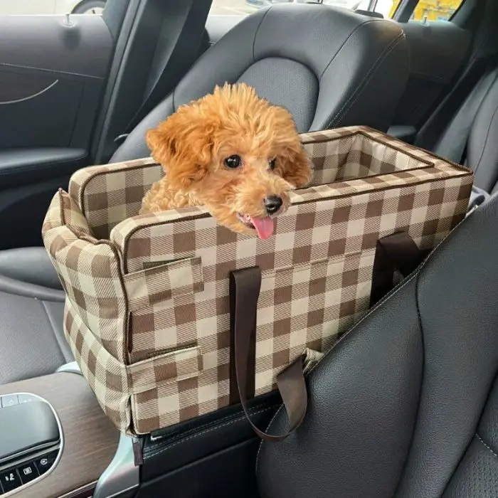 A small brown dog sits in a checkered, 11079-b31819.jpg placed on the passenger seat of a vehicle.