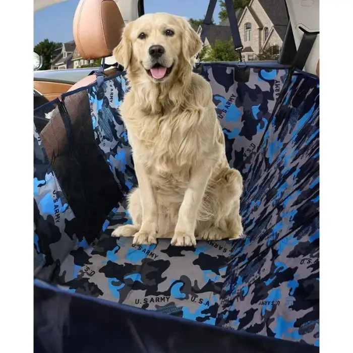 A golden retriever sits on a 11089-6495dd.jpg in the back seat of a car.