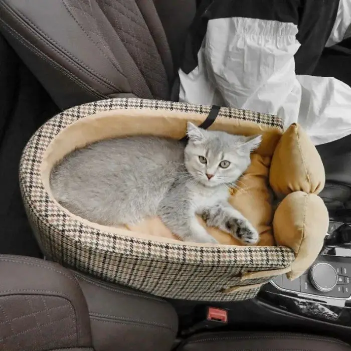 A grey cat lies comfortably in a checkered 11093-307b43.jpg placed on a car seat. Beside it, a white shirt is draped over the seat, sharing space typically reserved for a dog.