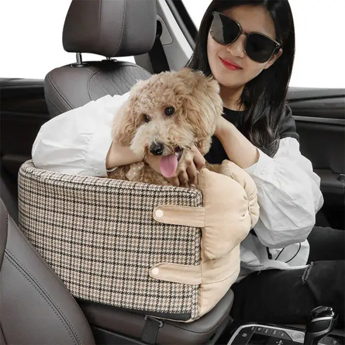 A woman wearing sunglasses sits inside a car, holding a small, light brown dog in a checkered 11093-67bc7e.jpg attached to the car seat. Both the woman and her dog appear to be relaxed and happy.