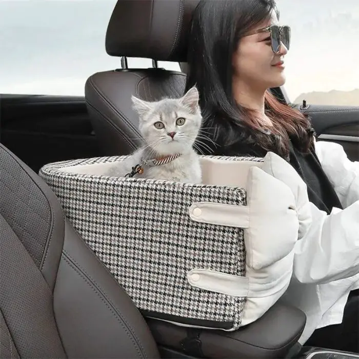 A cat sits comfortably in a 11093-f82c8c.jpg placed on the front seat of a car, next to a person driving their dog to the park.