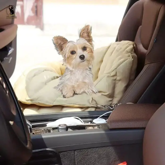 A small dog with pointy ears sits comfortably on a cushioned pet car seat inside a vehicle. The dog looks directly at the camera, while various car controls and items are visible in the foreground, adding to the cozy travel scene. The pet car seat is named 11097-850b13.jpg.